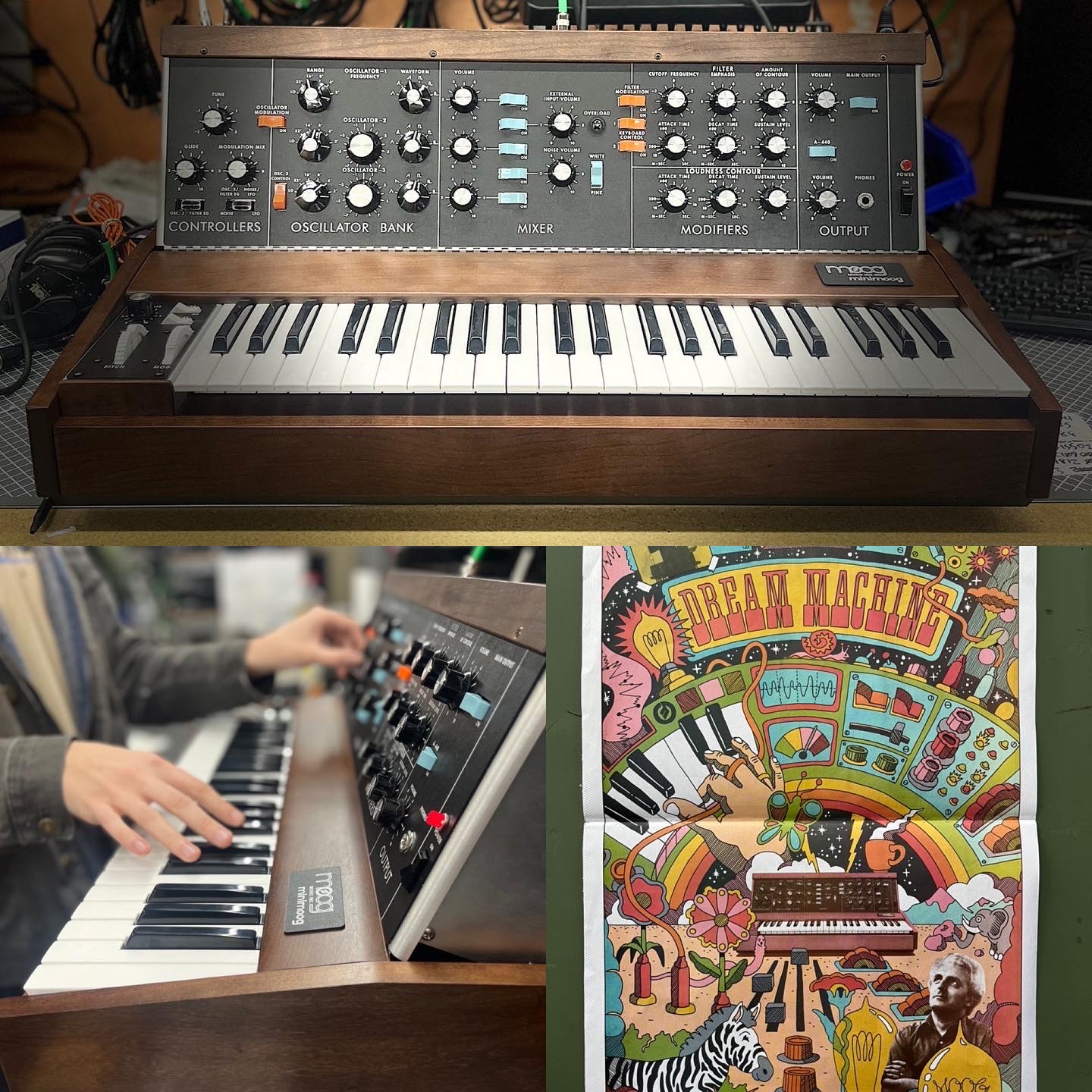 Rent the Moog Model D