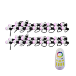 ADJ Color Strand LED 30 Foot 6w LED Strand with 20 Lights (COLORSTRANDLED)