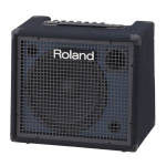 ROLAND KC-200 100W 12" Keyboard Amp