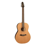 Seagull Coastline Folk Cedar (032549)