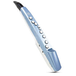 ROLAND AE-01 Mini Digital Wind Instrument