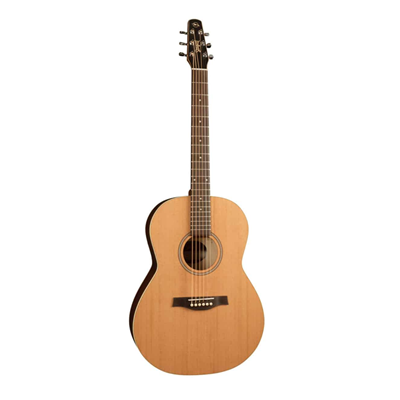 Seagull Coastline Folk Cedar (032549)