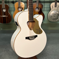 12-String Acoustic-Electric Platinum Level Acoustic Guitars