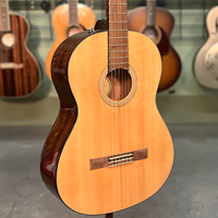 Classical Nylon String Bronze Level Acoustic Guitars