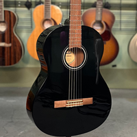 Classical Nylon String Bronze Level Acoustic Guitars
