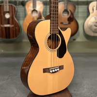 Acoustic Basses Silver Level Bass Guitars