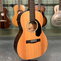 Parlor Bronze Level Acoustic Guitars