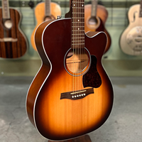 Acoustic-Electric Gold Level Acoustic Guitars Concert Cutaway