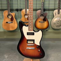 Platinum Level Electric Guitars