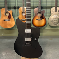 Active Pickups Titanium Level Electric Guitars