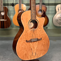 Acoustic-Electric Silver Level Acoustic Guitars Auditorium